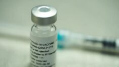 Deputados canadenses estudarão os $ 300 milhões gastos com empresa que falhou em produzir vacina contra COVID-19