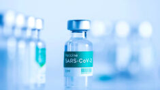 Sob o microscópio: a revisão das vacinas contra a COVID-19 da biblioteca Cochrane | Opinião