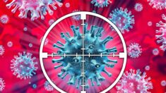 A batalha inesperada entre as vacinas e o vírus da COVID | Opinião