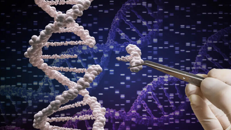 Edição de DNA terapia genética CRISPR (vchal/Shutterstock)