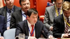 França convoca Conselho de Segurança para discutir queda de avião na Rússia