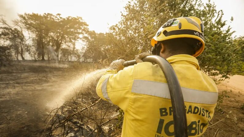 Queimadas e incêndios florestais (© Joédson Alves/Agência Brasil)