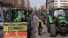 Agricultores bloqueiam estradas da Espanha com tratores para pedir melhorias no campo