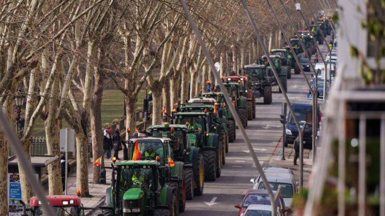 Agricultores espanhóis dirigem seus tratores durante um protesto para exigir condições justas para o setor agrícola, em Burgos, norte da Espanha, em 6 de fevereiro de 2024  (Foto de CESAR MANSO/AFP via Getty Images)