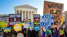 Senadores divididos sobre a conexão entre aborto e economia