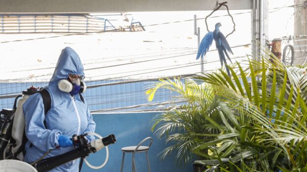Dengue: Brasil chega a mais de 800 mortes e 2 milhões de casos
