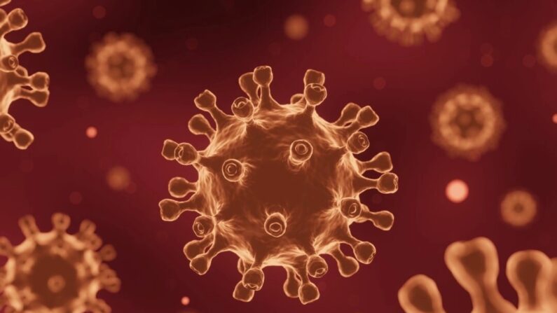 Ilustração do vírus que causa a COVID-19 (Puwadol Jaturawutthichai/Shutterstock)
