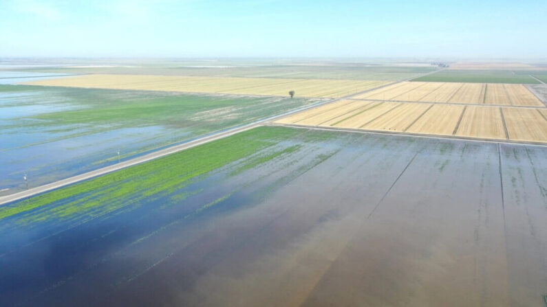 Terras agrícolas inundadas no renascente Lago Tulare, no Vale Central da Califórnia, perto de Corcoran, Califórnia, em 27 de abril de 2023. (Mario Tama/Getty Images)
