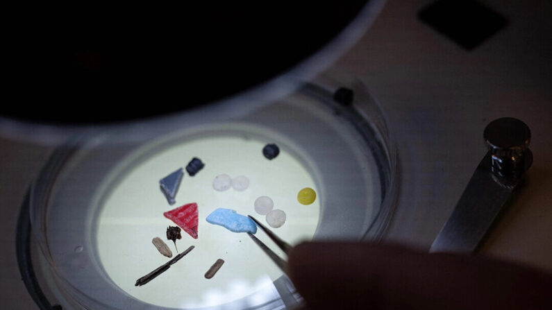 O diretor do Instituto Marinho de Plymouth, professor Richard Thompson, analisa nurdles e outros microplásticos graças a um microscópio, em um laboratório da Universidade de Plymouth, no sudoeste da Inglaterra, em 27 de fevereiro de 2023 (BEN STANSALL/AFP via Getty Images)
