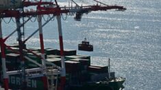 China instalou dispositivos misteriosos em guindastes usados nos portos dos EUA e que poderiam ser controlados remotamente