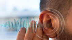 O som do silêncio: 80% das necessidades auditivas não são atendidas 
