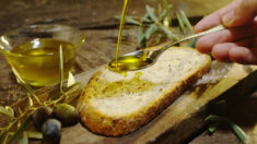 Benefícios do azeite de oliva: anticâncer, anti-inflamatório e protetor cerebral