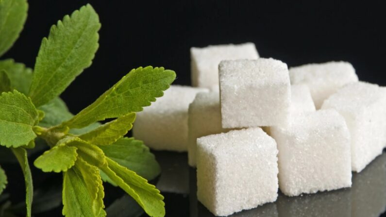 Stévia e açúcar (hjochen/Shutterstock)