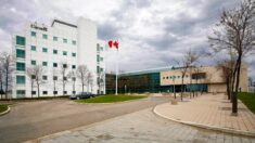 Registrando patentes para o laboratório de Wuhan e usando pseudônimos: o que os cientistas demitidos do laboratório de Winnipeg estão fazendo na China