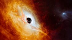 Pesquisadores descobrem um buraco negro que quebra recordes e cresce rapidamente