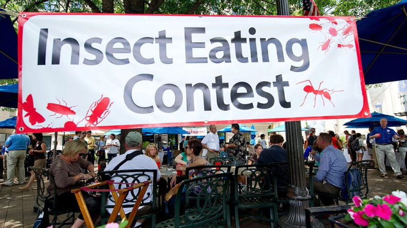 Os clientes sentam e comem vários insetos comestíveis durante um evento global Pestaurant patrocinado pela Ehrlich Pest Control, realizado no Occidental Restaurant em Washington, DC, em 4 de junho de 2014. (Karen Bleier/AFP via Getty Images)
