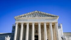 FBI tem que enfrentar processo por “lista de exclusão aérea”: Suprema Corte