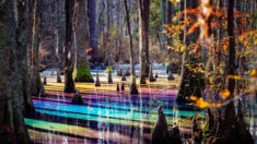 Piscinas “Arco-Íris” espetacularmente belas na Virgínia são totalmente naturais – veja como são criadas