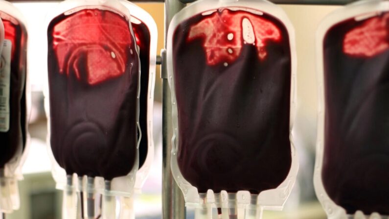 Bolsas de sangue (Li Wa/Shutterstock)
