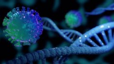 O DNA pode ser alterado pela infecção ou vacina contra a COVID, potencialmente levando ao câncer