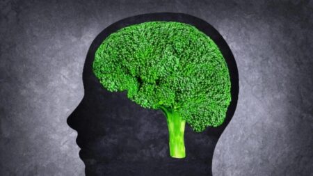 Composto encontrado no brócolis pode ajudar a dissolver coágulos sanguíneos e prevenir acidentes vasculares cerebrais