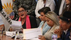 Equador vê como “justa” a resolução da OEA, que pede respeito às regras de asilo