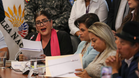Equador vê como “justa” a resolução da OEA, que pede respeito às regras de asilo