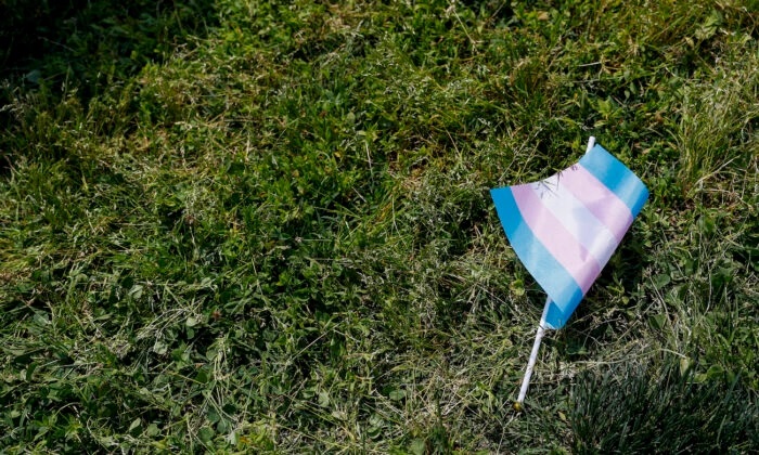 Uma bandeira transgênero está no gramado do lado de fora do prédio do Capitólio dos Estados Unidos em Washington, em 22 de maio de 2023. (Anna Moneymaker/Getty Images)