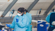 INQUÉRITO DA COVID-19: O Departamento de Saúde da Austrália moderou 50.000 comentários por mês durante a pandemia