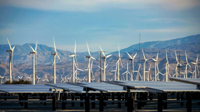 Grandes turbinas eólicas são alimentadas por ventos fortes diante de paineis solares em Palm Springs, Califórnia, em 27 de março de 2013. (Kevork Djansezian/Getty Images)