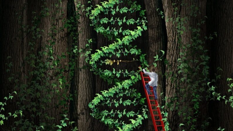 Ilustração de árvore simulando DNA (wildpixel/Getty Images)