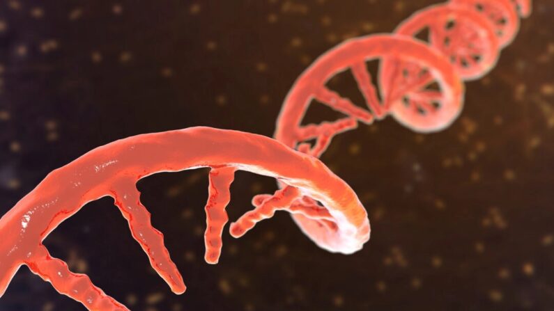Imagem de DNA fita simples (Kateryna Kon/Shutterstock)