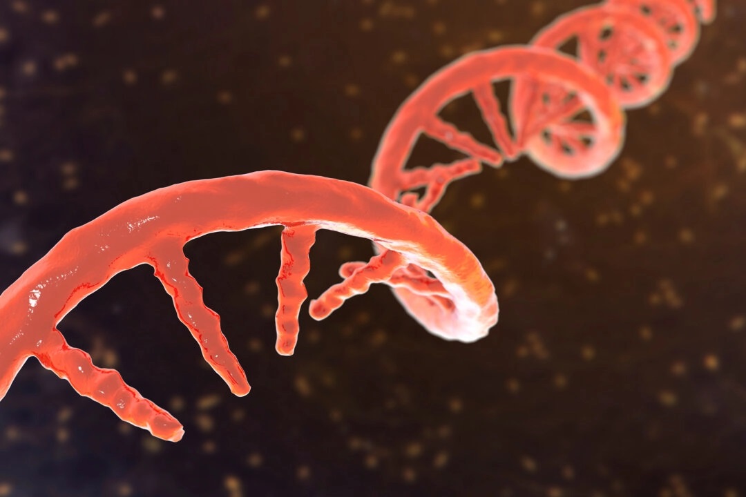 RNA modificado em vacinas contra COVID pode contribuir para o desenvolvimento de câncer