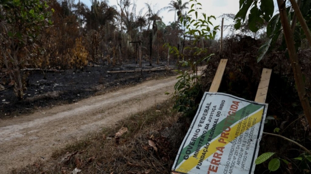 Sob governo Lula, Amazônia registra recorde de queimadas nos primeiros meses de 2024