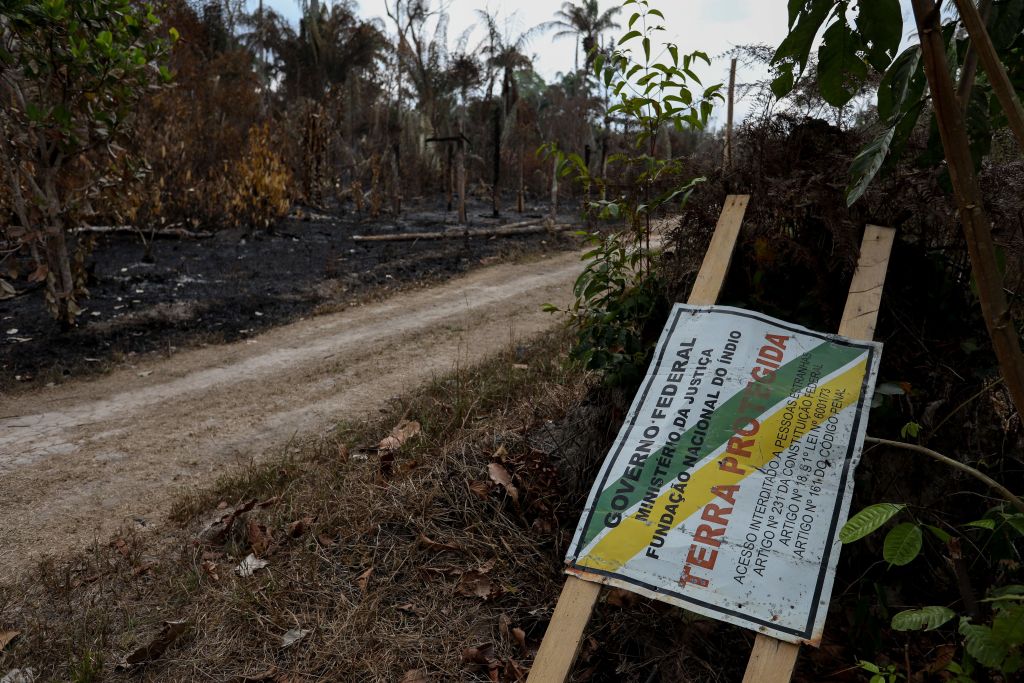 Sob governo Lula, Amazônia registra recorde de queimadas nos primeiros meses de 2024