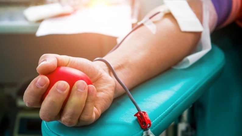 Doação de sangue (hxdbzxy/Shutterstock)

