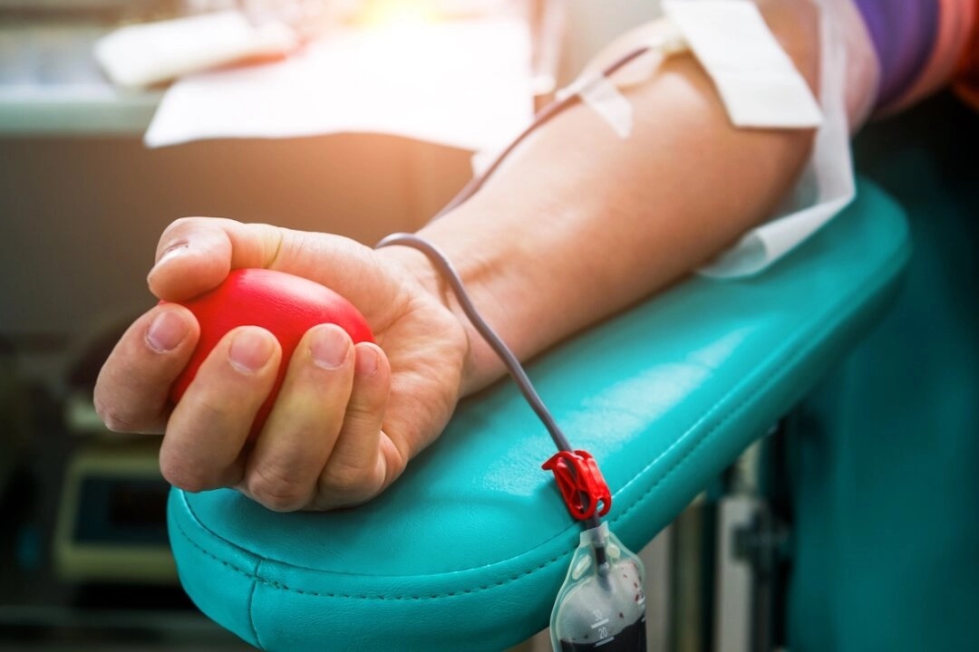 Cientistas estão mais perto de serem capazes de produzir sangue doador universal