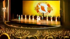 Membro da plateia brasileira: O Shen Yun “foi espetacular”