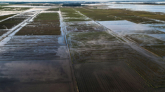 Aumento do IPCA e inflação nos produtos agropecuários: impactos das catástrofes no Rio Grande do Sul