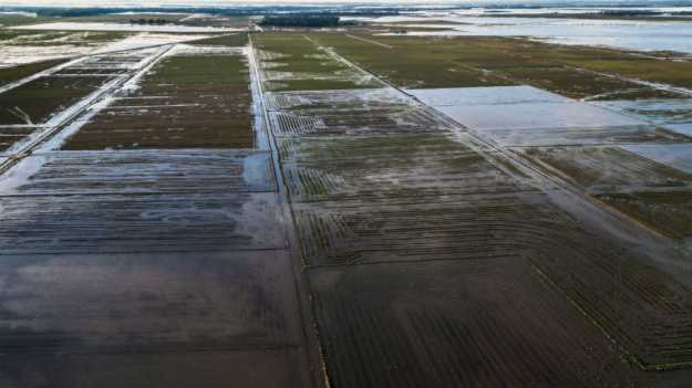 Aumento do IPCA e inflação nos produtos agropecuários: impactos das catástrofes no Rio Grande do Sul