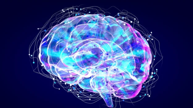 Harvard e Google se unem para criar o mapa do cérebro humano mais detalhado até hoje