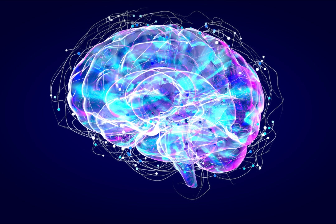 Harvard e Google se unem para criar o mapa do cérebro humano mais detalhado até hoje