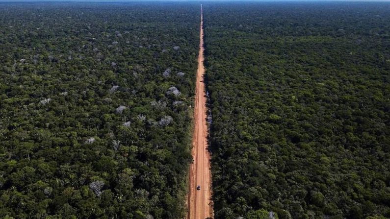 Governo publica edital para pavimentação da BR-319, no Amazona (DNIT)