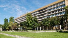 TCU autoriza investigação dos gastos das universidades federais brasileiras