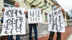 Mongólia Interior: autoridades reprimem protestos enquanto residentes rejeitam o ensino de mandarim