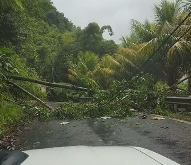 Dominica antes da chegada do Furacão Maria (@anumetservice/Twiter)