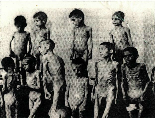 Crianças romanies em Auschwitz, vítimas de experiências médicas (Wikipedia)
