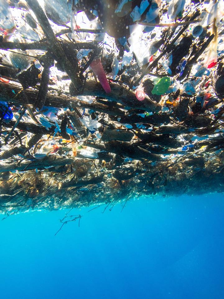 Lixo, principalmente plástico, é visto no Mar do Caribe. (Foto do Facebook de Caroline Power)