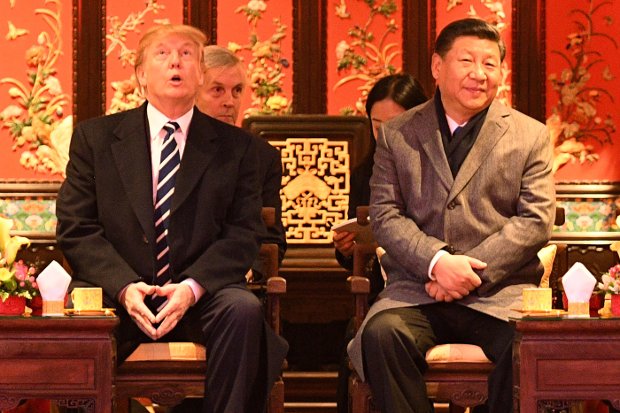O presidente dos EUA Donald Trump olha para cima ao lado do líder chinês Xi Jinping durante uma visita guiada pela Cidade Proibida, em Pequim, 8 de novembro de 2017 (Jim Watson/AFP/Getty Images)