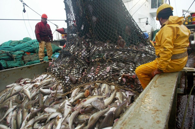 A traineira francesa "Grande Hermine" recolhe uma carga de bacalhau do Mar de Barents. Já em 2004, os ministros da pesca da União Europeia perceberam que os estoques de peixes estavam ficando perigosamente baixos (Marcel Mochet/AFP/Getty Images)